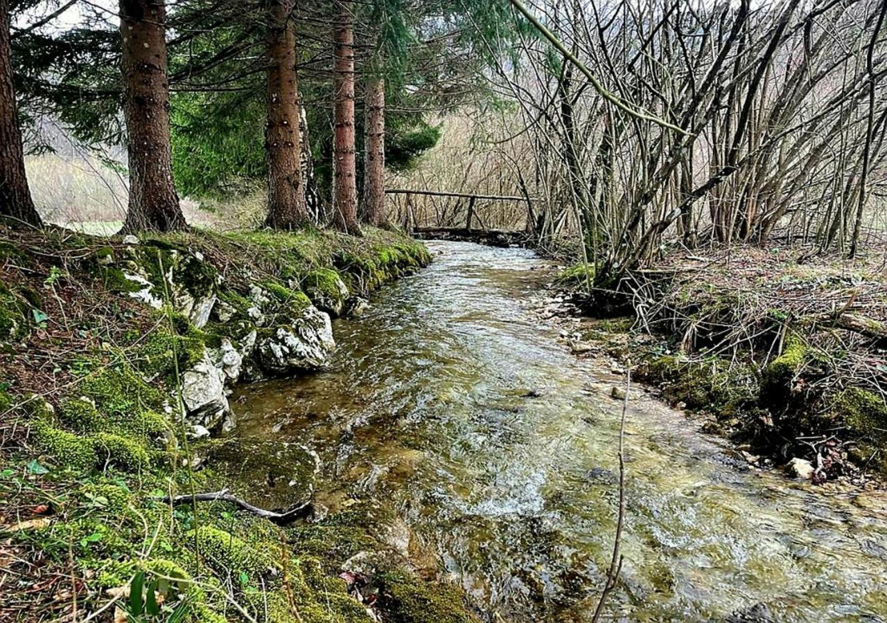 Villa Andjelija Plitvička Jezera Εξωτερικό φωτογραφία