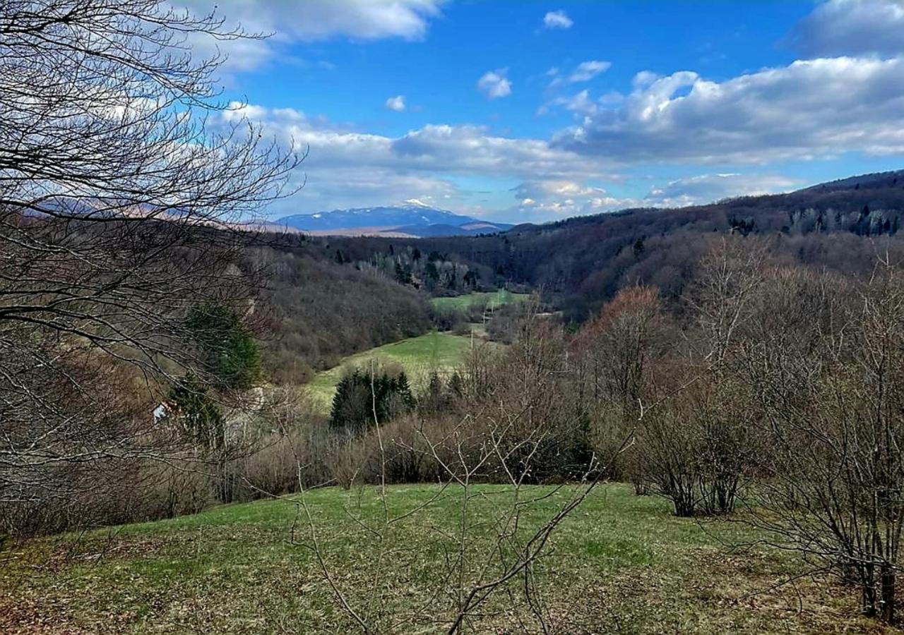 Villa Andjelija Plitvička Jezera Εξωτερικό φωτογραφία